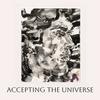 undefined Accepting the Universe