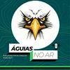 undefined Águias no Ar | Philadelphia Eagles Podcast