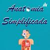 undefined Anatomia Simplificada