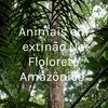 undefined Animais em extinção Na Floloreta Amazônica