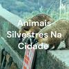 undefined Animais Silvestres Na Cidade