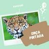 undefined Animais