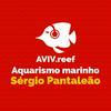 undefined Aquarismo marinho com Sérgio Pantaleão