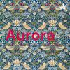 undefined Aurora