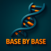 undefined Base by Base