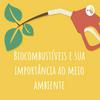 undefined Biocombustíveis e sua importância ao meio ambiente