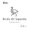 undefined Birds Of Uganda Podcast
