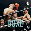 undefined BOXE