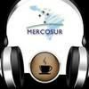 undefined Café MERCOSUR