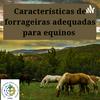 undefined Características de forrageiras adequadas para equinos