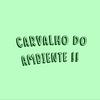 undefined Carvalho do Ambiente!!