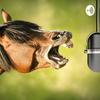 undefined Cavalo Mangalarga Marchador