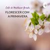 undefined Ciclo de 21 Dias de Meditação Guiada