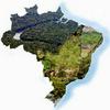 undefined Ciências da Natureza