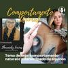 undefined Comportamento Animal