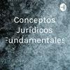 undefined Conceptos Jurídicos Fundamentales
