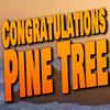 undefined Congratulations Pine Tree
