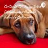 undefined Contando Um Pouco Sobre Os Cachorros-Praticas Sociais e Culturais