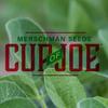 undefined Merschman Seeds Cup of Joe