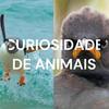 undefined CURIOSIDADE DE ANIMAIS