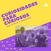 undefined Curiosidades