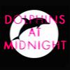 undefined Dolphins at Midnight