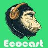 undefined Ecocast