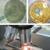 undefined Estudando Microbiologia