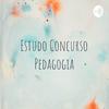undefined Estudo Concurso Pedagogia