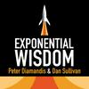 undefined Exponential Wisdom