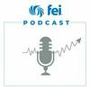 undefined FEI Podcast