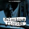 undefined Felonious Florida