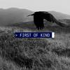 undefined First of Kind