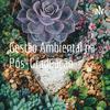 undefined Gestão Ambiental na Pós-Graduação