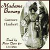 undefined Gustave Flaubert, Madame Bovary, New Version