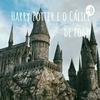 undefined Harry Potter e o Cálice de fogo