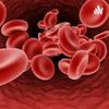 undefined Hemostasia