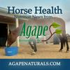 undefined Horse Nutrition News with Agape