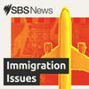 undefined Immigration issues