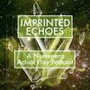 undefined Imprinted Echoes