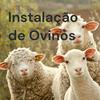 undefined Instalação de Ovinos