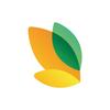 undefined Instituto MRV&amp;CO