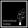 undefined Instructional Ecology