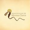 undefined ARQUIMOC - Arquidiocese de Montes Claros