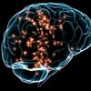 undefined La neurociencia cognitiva.(Ruth Adames).