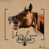 undefined Liberty Equus Podcast