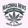 undefined MaconhaNews