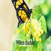 undefined Mãos dadas - Cartório/SP