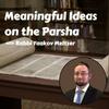 undefined Meaningful Ideas on the Parsha