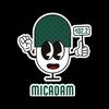 undefined MICADAM